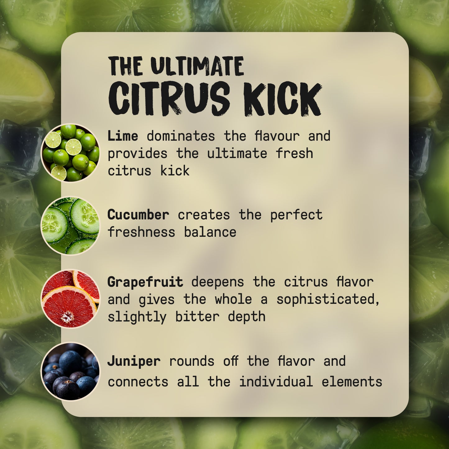 The Flavour profile of the Lime Moonshine. Lime, Cucumber, Grapefruit & Juniper